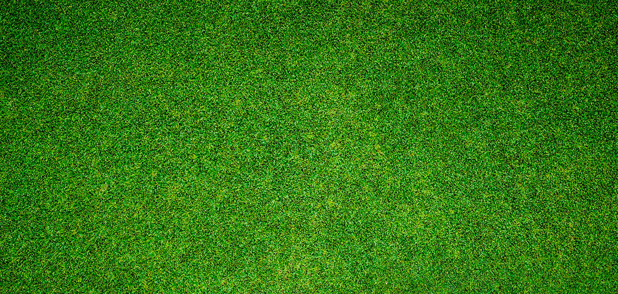 KCB named Best Bank in Kenya for Sustainable Finance